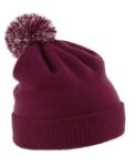 Picture of BC450 Snowstar® beanie