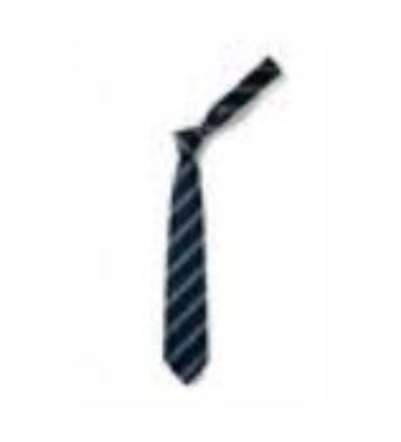 Picture of Newcastle Emlyn Secondary Tie
