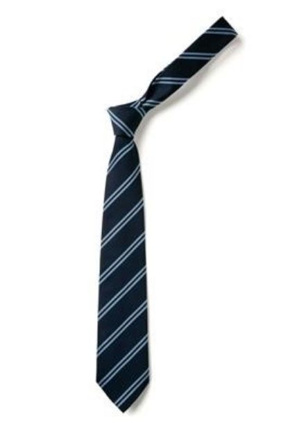 Picture of Newcastle Emlyn Secondary Tie