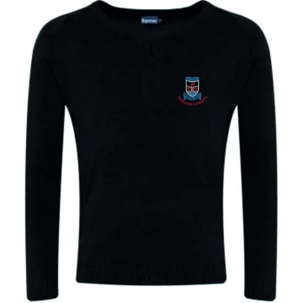 Picture of Newcastle Emlyn 6th Form V neck Jumper